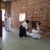 IMG_3104.jpg